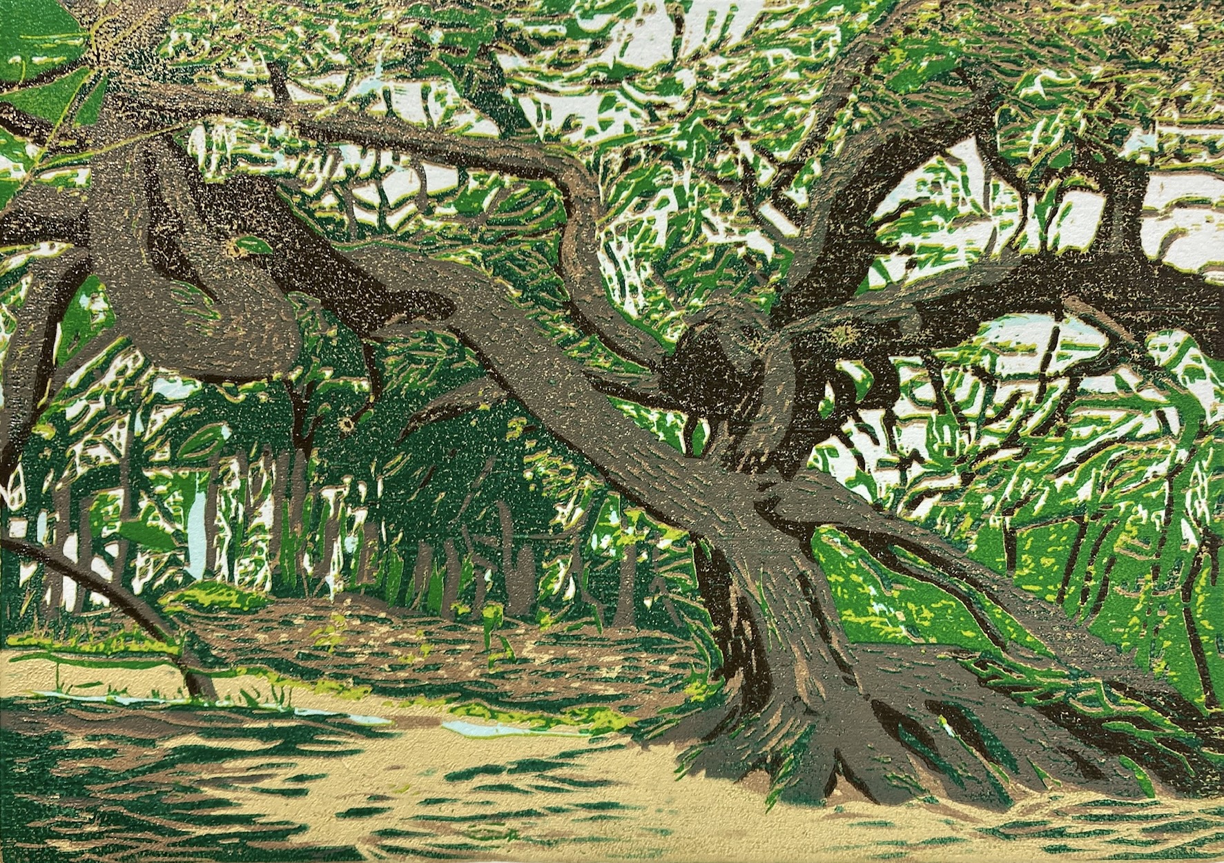 Vliegden Mantingerzand 